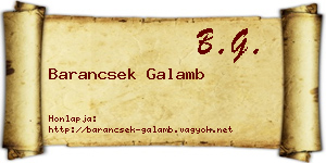 Barancsek Galamb névjegykártya